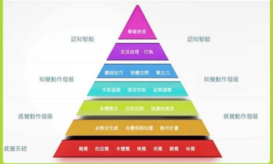 感覺統合簡介及與之配合的入門級游戲設計